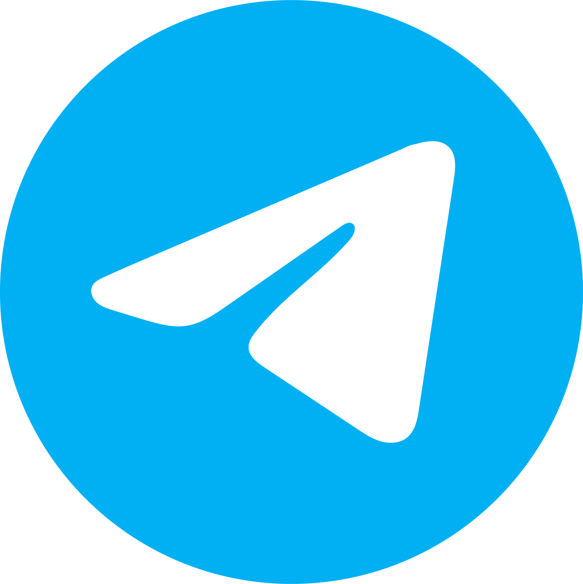 Telegram СТК Томск